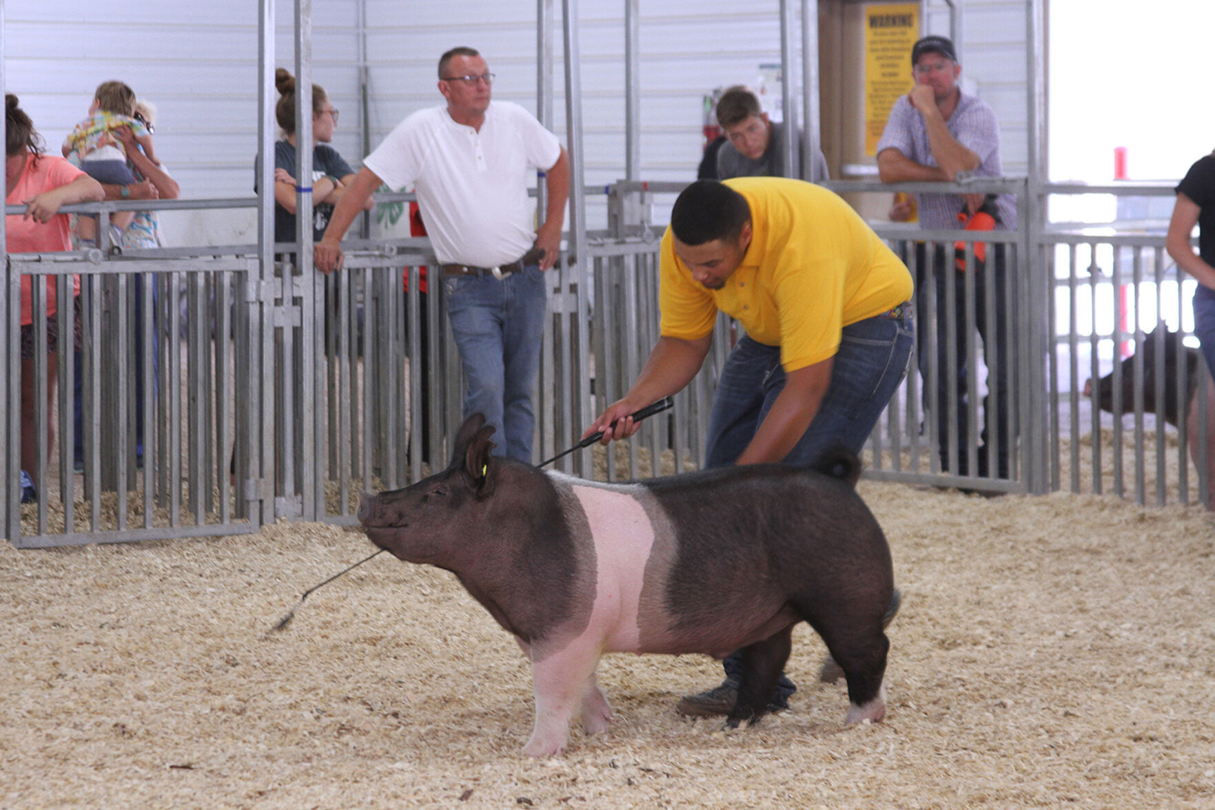 PHOTOS: Scenes from the Scotts Bluff County Fair